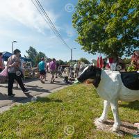Découvrit Lavacherie ASBL • Association de promotion du tourisme à Lavacherie (Sainte-Ode) • 32 492 27 49 10