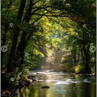 Carte postale – Ourthe Occidentale 