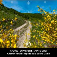 Carte postale – Lavacherie, chemin vers la Chapelle de la Bonne Dame