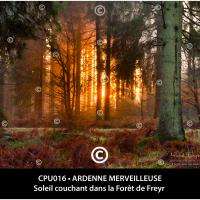 Carte postale – Ardenne Merveilleuse, Soleil couchant dans la Forêt de Freyr